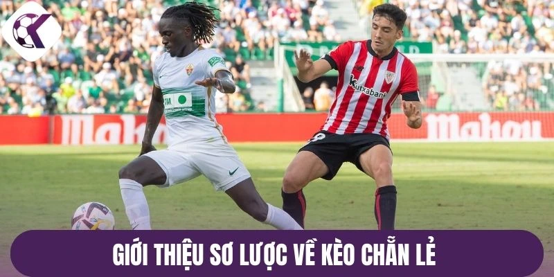 Giới thiệu sơ lược về kèo chẵn lẻ